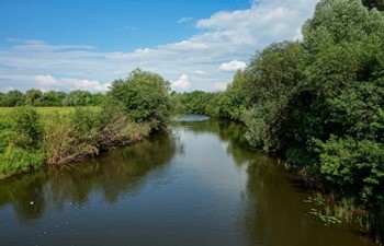 Река Бабка фото
