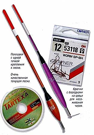 Весенний ход карася Весенний ход карася